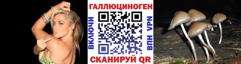 Псилоцибиновые грибы Psilocybine cubensis  Суоярви 